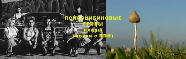 соль ск Армянск