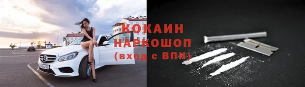 сатива Арсеньев